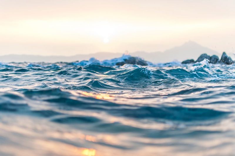 Njutelse från, och vid, havet